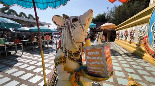 ピンクガネーシャ